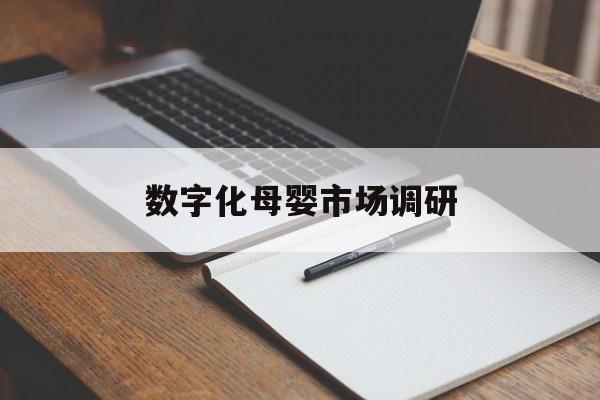 琼海市数字化母婴市场调研(数字化母婴市场调研报告)